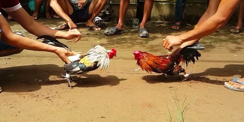 Sân chơi có mức trả thưởng cực cao