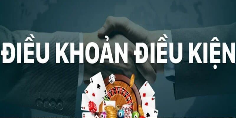 Thông tin khái quát về điều kiện và điều khoản 789P